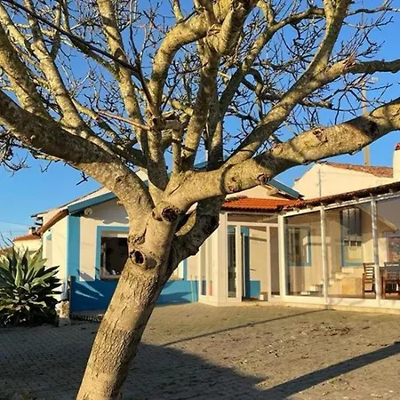 Tatil Evi Der Sonnenuntergangs-spot